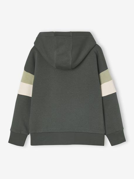 Sweat garçon à capuche motif placé lichen+noix de pécan 2 - vertbaudet enfant 