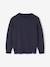Pull Basics col rond manches longues garçon marine+rayé bleu 1 - vertbaudet enfant 