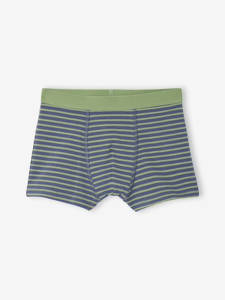 Lot 5 Boxers Garçon Dinosaures bleu ardoise 5 - vertbaudet enfant 