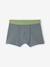 Lot 5 Boxers Garçon Dinosaures bleu ardoise 5 - vertbaudet enfant 