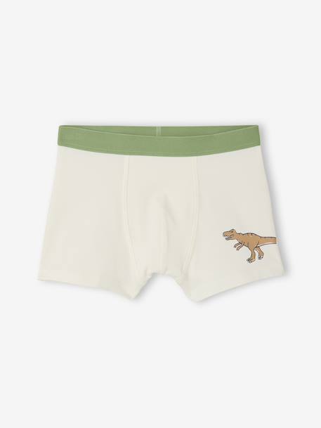 Lot 5 Boxers Garçon Dinosaures bleu ardoise 4 - vertbaudet enfant 