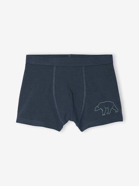 Lot de 7 Boxers Garçon Rayés et Imprimés Ours vert 2 - vertbaudet enfant 