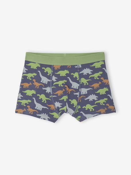 Lot 5 Boxers Garçon Dinosaures bleu ardoise 6 - vertbaudet enfant 