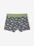 Lot 5 Boxers Garçon Dinosaures bleu ardoise 6 - vertbaudet enfant 
