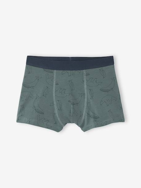 Lot de 7 Boxers Garçon Rayés et Imprimés Ours vert 4 - vertbaudet enfant 