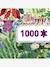 Puzzle gallery 1000pcs - rainbow tiger multicolore 3 - vertbaudet enfant 