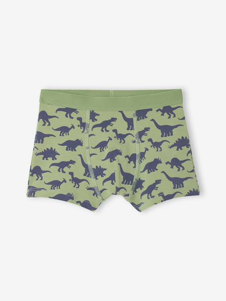 Lot 5 Boxers Garçon Dinosaures bleu ardoise 3 - vertbaudet enfant 