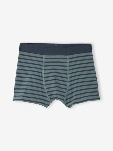 Lot de 7 Boxers Garçon Rayés et Imprimés Ours vert 8 - vertbaudet enfant 