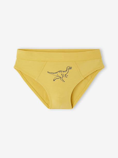 Lot 7 slips Dino garçon marine 7 - vertbaudet enfant 