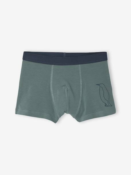 Lot de 7 Boxers Garçon Rayés et Imprimés Ours vert 5 - vertbaudet enfant 