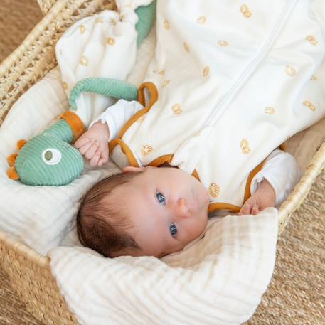 Doudou dino Vert 2 - vertbaudet enfant 