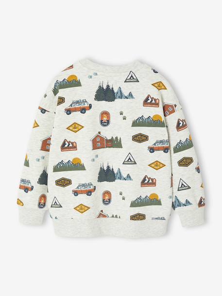 Sweat imprimé garçon beige chiné+bleu moyen+vert sauge 2 - vertbaudet enfant 