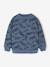 Sweat imprimé garçon beige chiné+bleu moyen+vert sauge 4 - vertbaudet enfant 