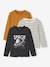 Lot de 3 T-shirts garçon manches longues anthracite+bordeaux 1 - vertbaudet enfant 