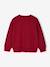 Sweat couleur motif poitrine Basics garçon grenadine+pistache+rouge+vert 8 - vertbaudet enfant 