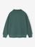Sweat col camionneur brodé garçon vert 4 - vertbaudet enfant 