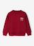 Sweat couleur motif poitrine Basics garçon grenadine+pistache+rouge+vert 7 - vertbaudet enfant 