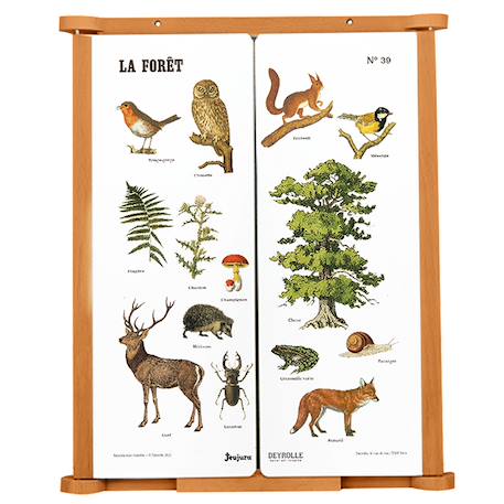 Tableau triptyque la forêt Noir 1 - vertbaudet enfant 