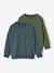 Lot 2 Sweats Unis Manches Longues Garçon vert d'eau 1 - vertbaudet enfant 