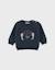 Pull en tricot avec motif tigre Bleu 1 - vertbaudet enfant 