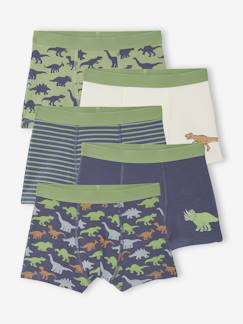 -Lot 5 Boxers Garçon Dinosaures