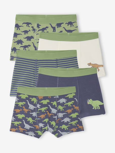 Lot 5 Boxers Garçon Dinosaures bleu ardoise 1 - vertbaudet enfant 