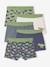 Lot 5 Boxers Garçon Dinosaures bleu ardoise 1 - vertbaudet enfant 