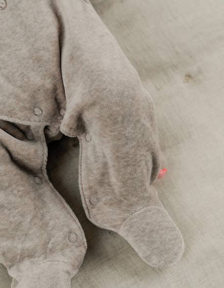 Pyjama bébé en velours avec broderie phoque Beige 3 - vertbaudet enfant 