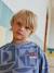 Sweat garçon motif graphique bleu imprimé 1 - vertbaudet enfant 
