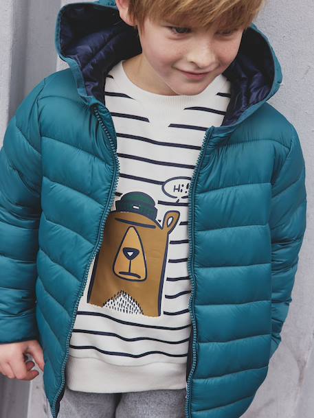 Doudoune garçon légère à capuche bleu jean+bleu moyen+marine+noir+noisette+noix de pécan+olive+rouge+vert émeraude 33 - vertbaudet enfant 