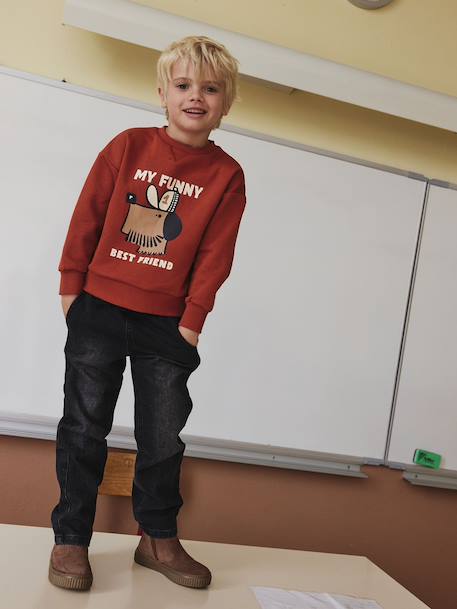 Sweat chien imprimé garçon rayé blanc+tomette 10 - vertbaudet enfant 