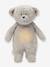 Ourson nature bio 2.0 avec sons & lumières cappuccino+gris+sable 5 - vertbaudet enfant 