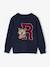 Pull garçon jacquard motif animal marine 1 - vertbaudet enfant 