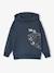 Sweat Capuche Print Skate anthracite 1 - vertbaudet enfant 