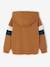 Sweat garçon à capuche motif placé lichen+noix de pécan 5 - vertbaudet enfant 