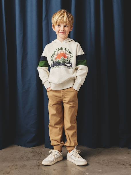 Sweat garçon à capuche motif placé blanc+blanc chiné+marine+noix de pécan+vert sauge 9 - vertbaudet enfant 