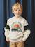 Sweat garçon à capuche motif placé blanc+blanc chiné+marine+noix de pécan+vert sauge 4 - vertbaudet enfant 
