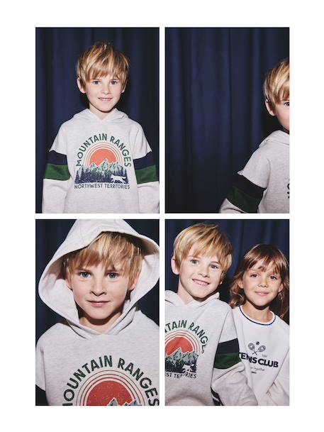 Sweat garçon à capuche motif placé blanc+blanc chiné+marine+noix de pécan+vert sauge 5 - vertbaudet enfant 