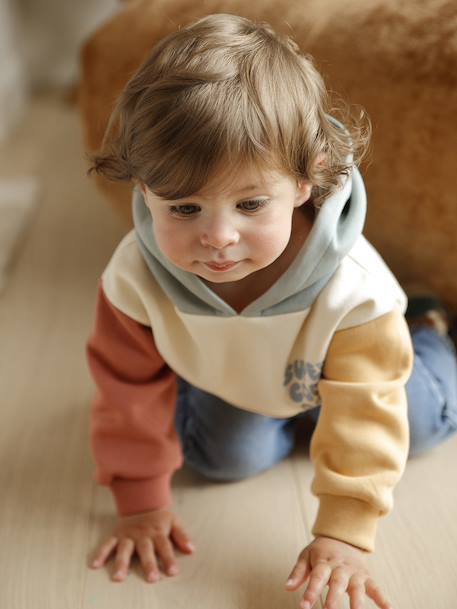 Ensemble bébé sweat-shirt à capuche + Jean multicolore 9 - vertbaudet enfant 