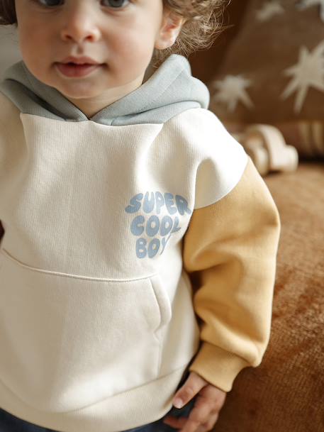 Ensemble bébé sweat-shirt à capuche + Jean multicolore 8 - vertbaudet enfant 