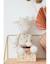 Peluche small gigi en veloudoux® Ecru 6 - vertbaudet enfant 