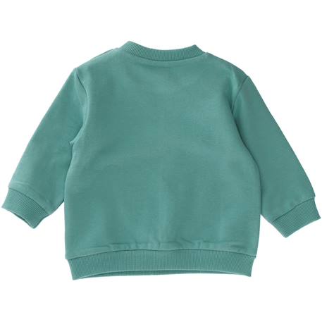 Sweat disney simba roi lion Vert d'eau 2 - vertbaudet enfant 