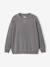 Lot 2 de sweats garçon unis col rond caramel 7 - vertbaudet enfant 