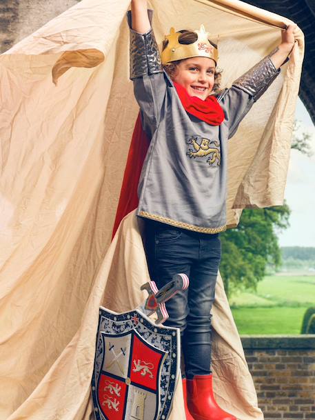 Armure roi Arthur argent 2 - vertbaudet enfant 