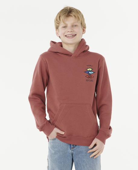 Garçon-Pull, gilet, sweat-Sweat à capuche Search Icon