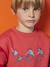 Sweat Skateboard garçon rouge 1 - vertbaudet enfant 