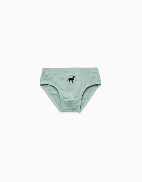 Pack 5 culottes Multicolore 2 - vertbaudet enfant 