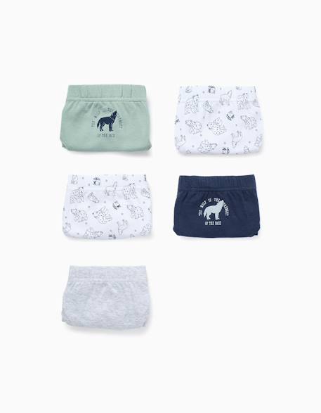 Pack 5 culottes Multicolore 1 - vertbaudet enfant 