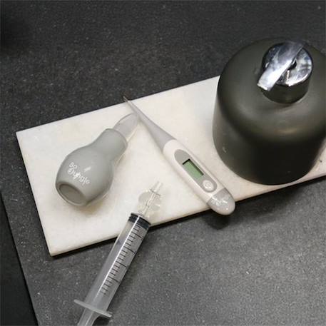 Mouche bébé avec poire Gris 3 - vertbaudet enfant 