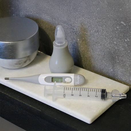 Mouche bébé avec poire Gris 2 - vertbaudet enfant 
